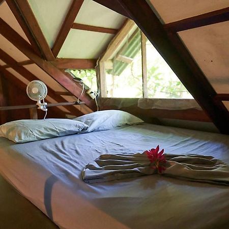 Luz En El Cielo Eco-B&B/Hostel Монтесума Екстериор снимка