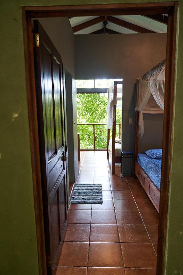 Luz En El Cielo Eco-B&B/Hostel Монтесума Екстериор снимка