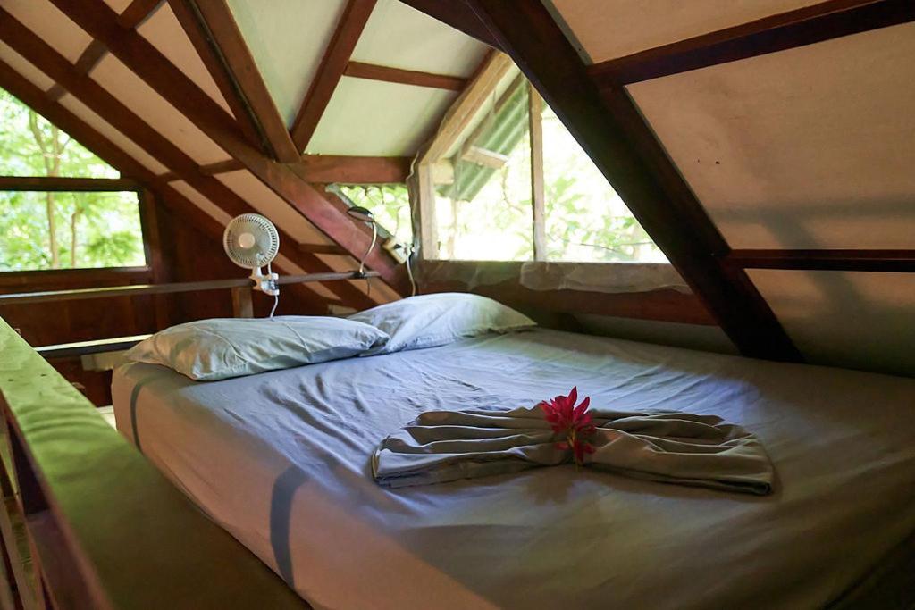 Luz En El Cielo Eco-B&B/Hostel Монтесума Екстериор снимка