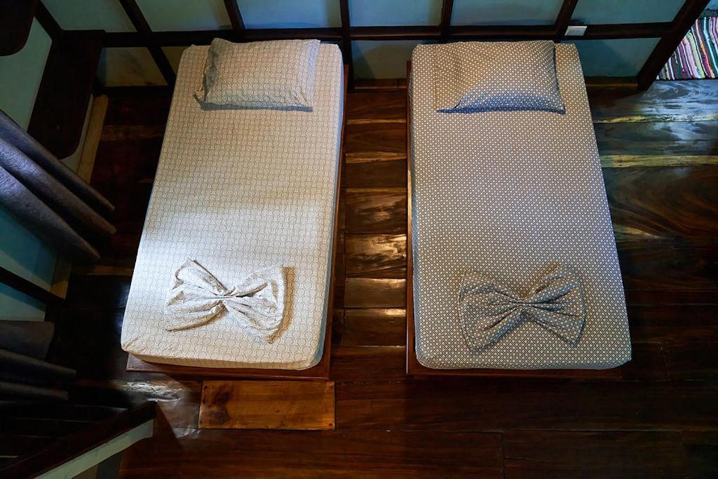 Luz En El Cielo Eco-B&B/Hostel Монтесума Екстериор снимка