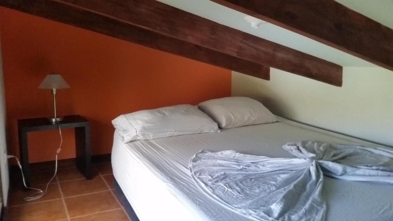Luz En El Cielo Eco-B&B/Hostel Монтесума Екстериор снимка