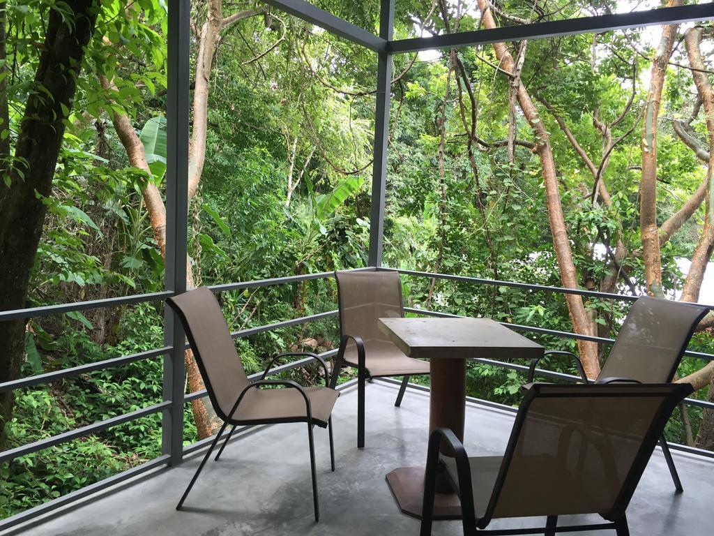Luz En El Cielo Eco-B&B/Hostel Монтесума Стая снимка