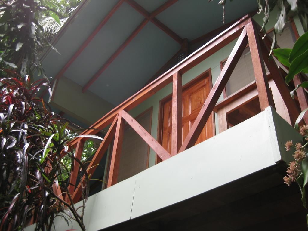 Luz En El Cielo Eco-B&B/Hostel Монтесума Стая снимка